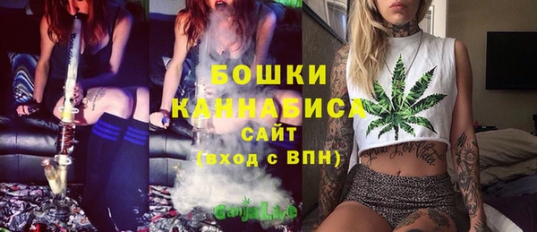 ГАЛЛЮЦИНОГЕННЫЕ ГРИБЫ Тавда