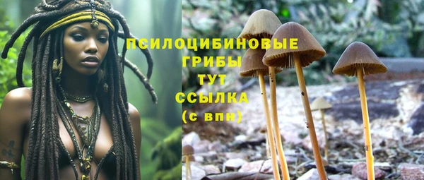 шишки Богородск