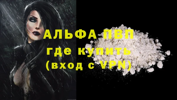 шишки Богородск